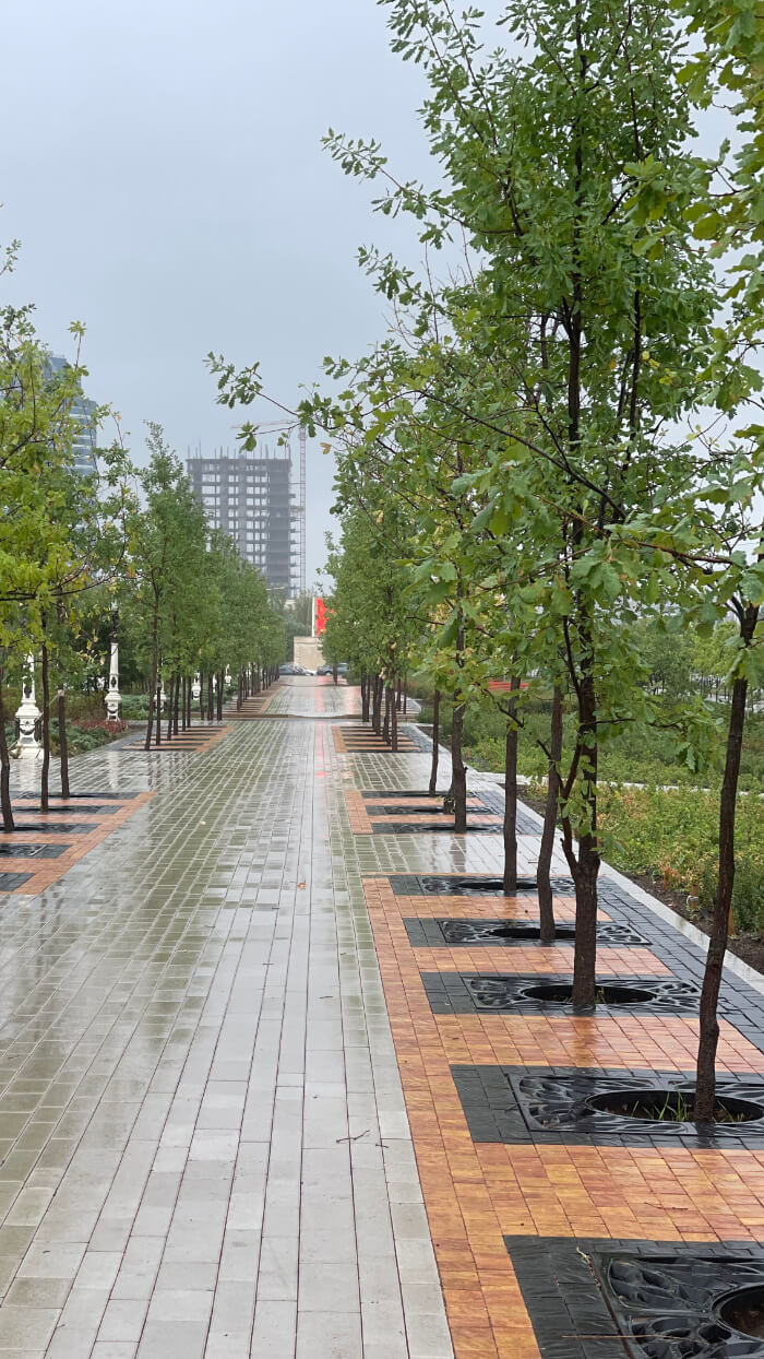 Приствольная решетка для дерева ZKING CRUST 1.2х1.2м Черная в Брянске фото