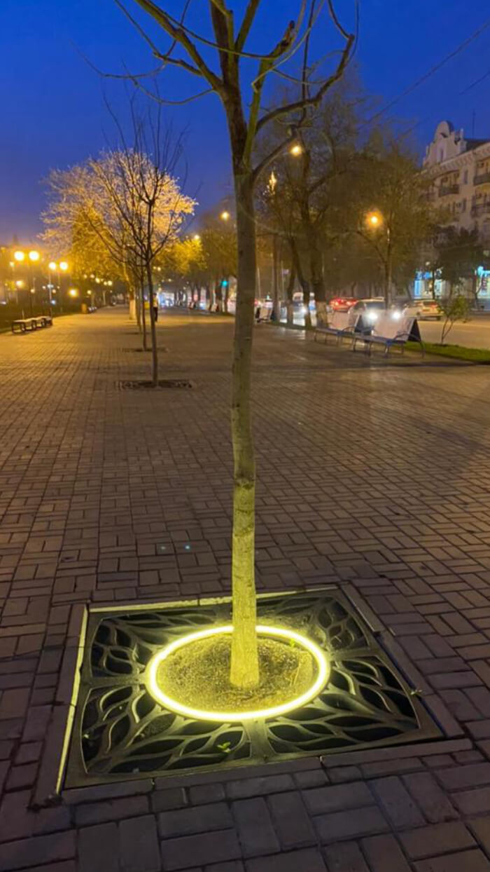 Приствольная решетка для дерева ZKING CRUST 1.2х1.2м Черная в Брянске фото